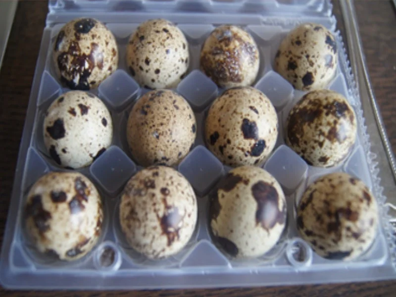 Rezept: Wachteleier mit herzhaften Rahmspinat und Drillingen Bild Nr. 4 Wachteleier mit herzhaften Rahmspinat und Drillingen - Rezept - Bild Nr. 4