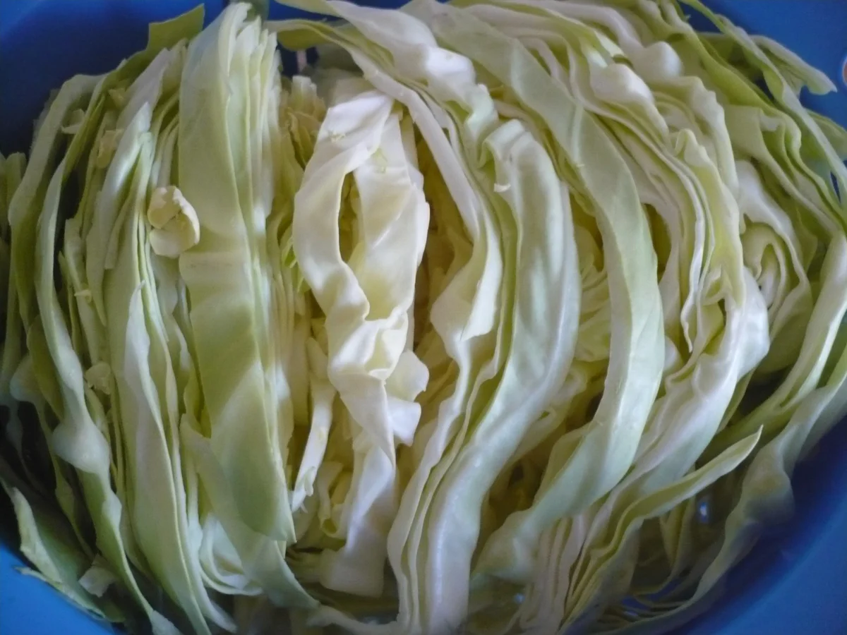 Spitzkohlpfanne mit Nudeln - Rezept - Bild Nr. 5