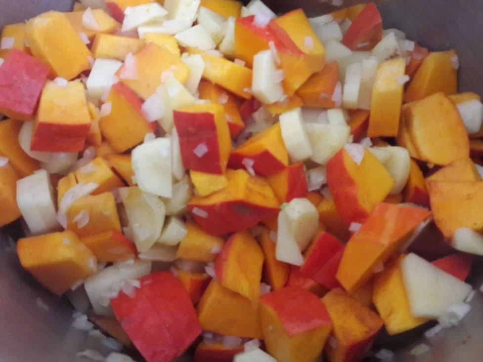 Kürbissuppe - Rezept - Bild Nr. 7