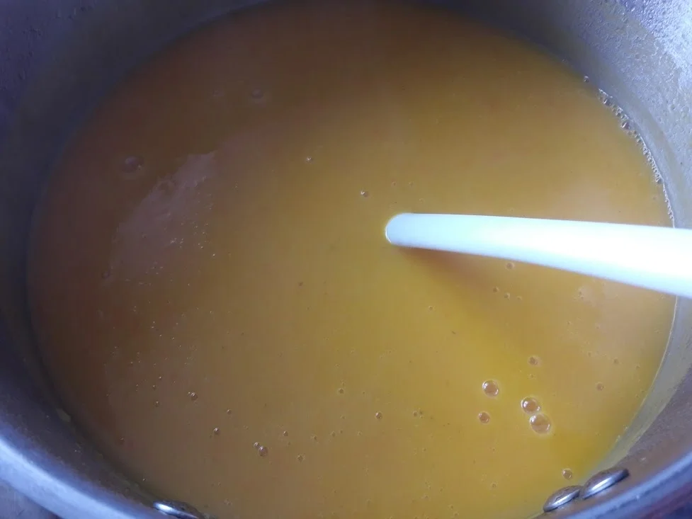 Kürbissuppe - Rezept - Bild Nr. 13