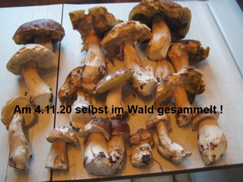 Steinpilz Kartoffel-Auflauf - Rezept - Bild Nr. 3