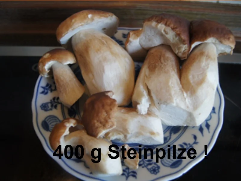 Steinpilz Kartoffel-Auflauf - Rezept - Bild Nr. 4