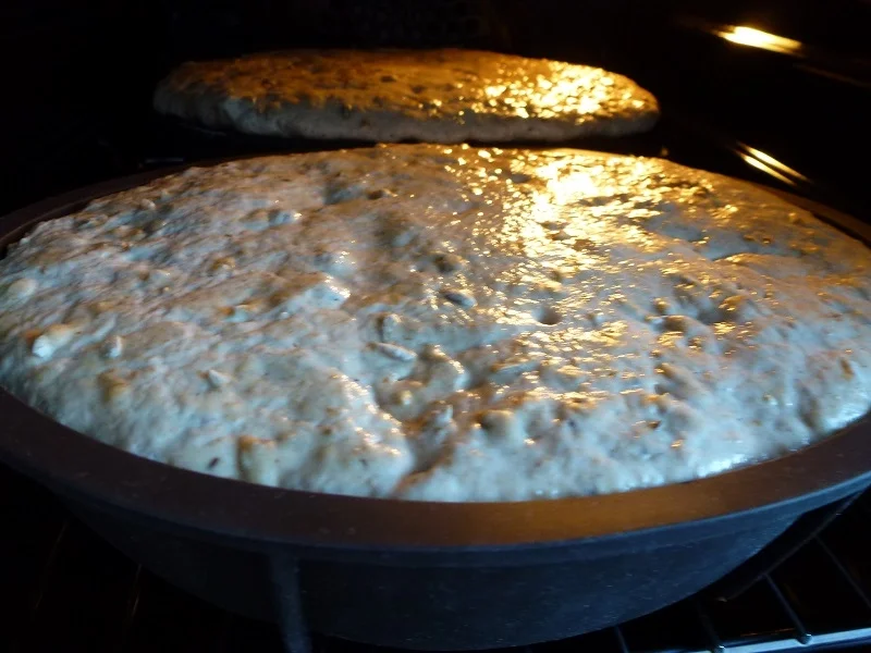 Vorratsbrote - Rezept - Bild Nr. 6