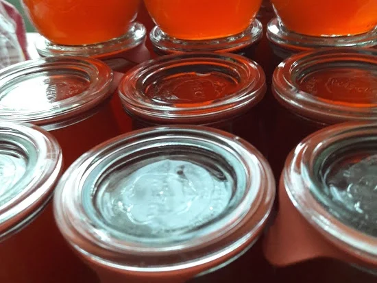 Rezept: Quittengelee Bild Nr. 2 Quittengelee - Rezept - Bild Nr. 2