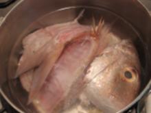 Fischbrühe / suppe - Rezept - Bild Nr. 2