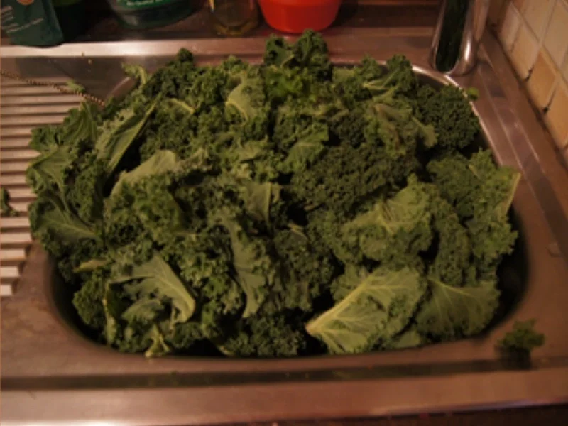 Grünkohl 2020 - Rezept - Bild Nr. 5