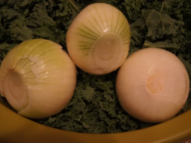 Grünkohl 2020 - Rezept - Bild Nr. 7