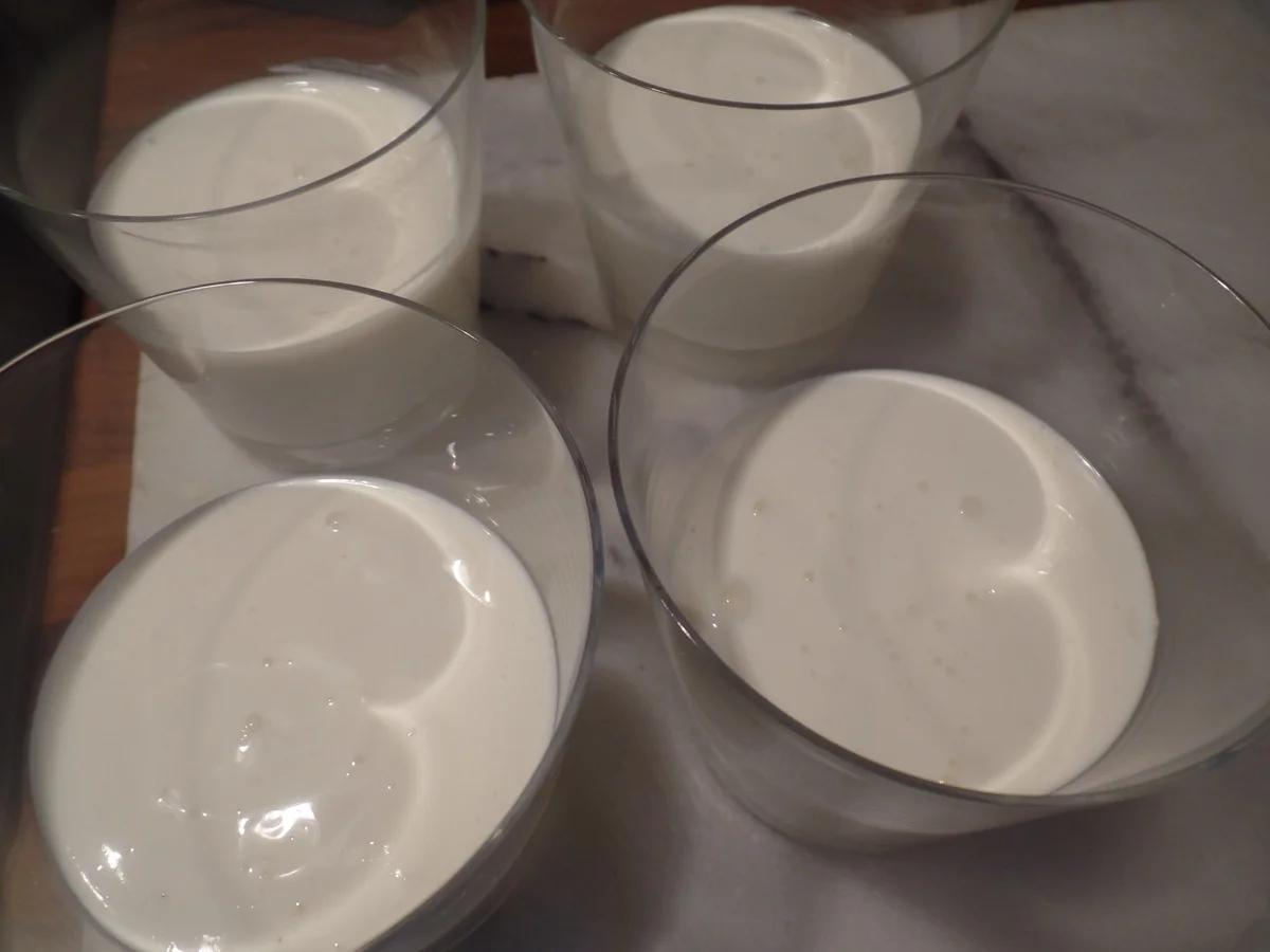 Rezept: Joghurt-Panna-Cotta Bild Nr. 11948 Joghurt-Panna-Cotta - Rezept - Bild Nr. 11948