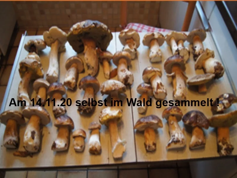 Schweinefiletschnitzelchen mit gebratenen Steinpilzen und Möhren-Kartoffel-Stampf - Rezept - Bild Nr. 3