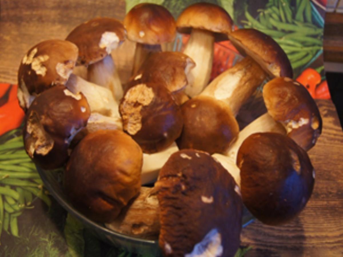 Schweinefiletschnitzelchen mit gebratenen Steinpilzen und Möhren-Kartoffel-Stampf - Rezept - Bild Nr. 4