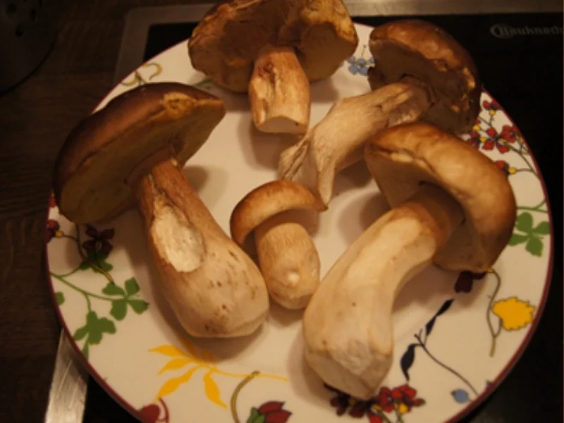 Rezept: Ein herbstlicher Gourmet-Teller Bild Nr. 3 Ein herbstlicher Gourmet-Teller - Rezept - Bild Nr. 3