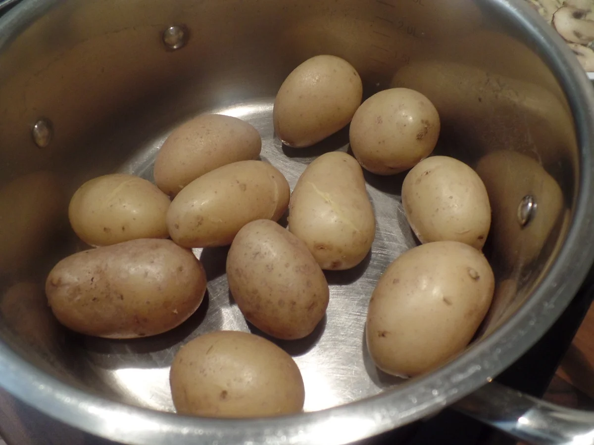 Spinatklöße auf Champignon-Rahmsauce - Rezept - Bild Nr. 11977