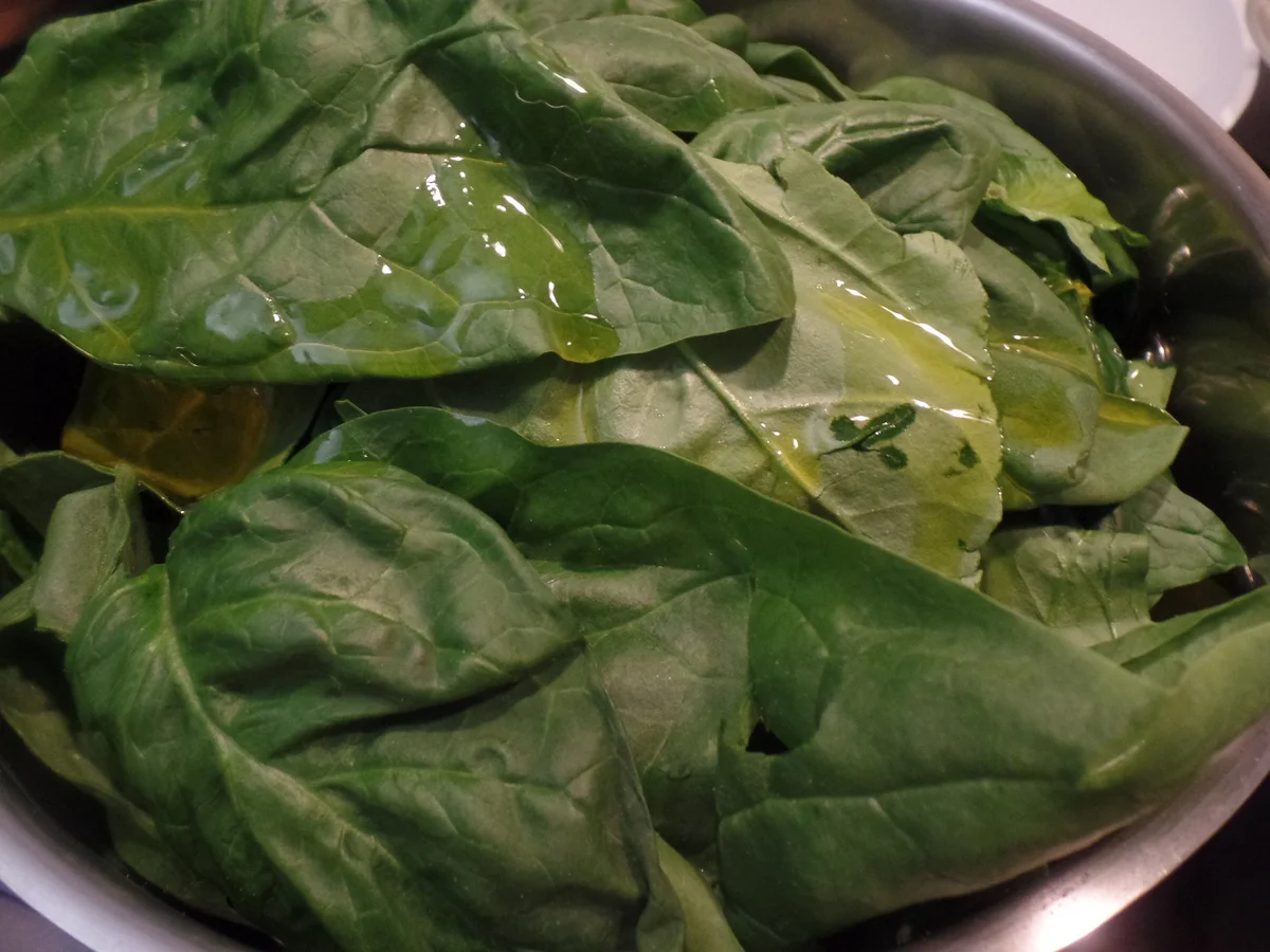 Spinatklöße auf Champignon-Rahmsauce - Rezept - Bild Nr. 11980