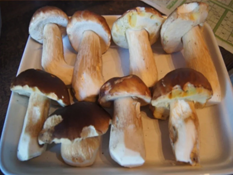 Gourmet Steinpilzpfanne - Rezept - Bild Nr. 3