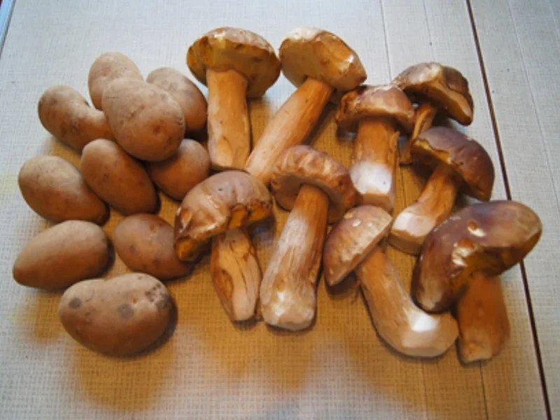 Steinpilz-Kartoffel-Gratin und Chinakohlsalat - Rezept - Bild Nr. 3