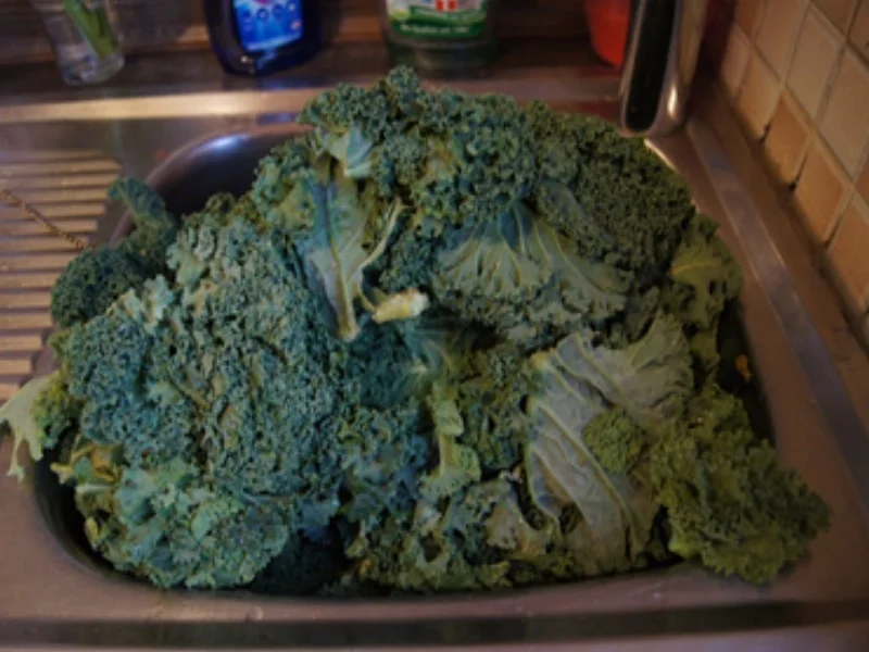 Asiatischer Grünkohl - Rezept - Bild Nr. 3