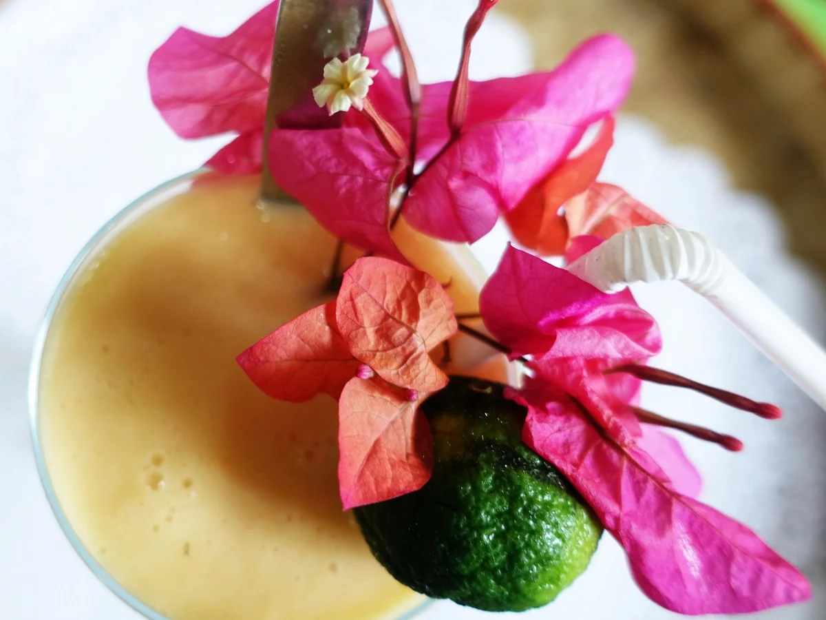 Rezept: Honigmelonen-Lassi Bild Nr. 2 Honigmelonen-Lassi - Rezept - Bild Nr. 2