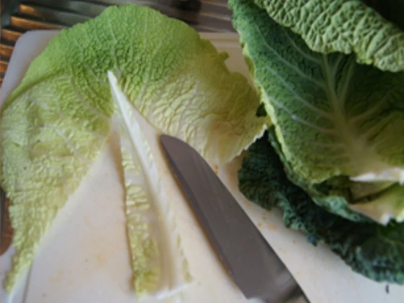 Zanderfilet mit Wirsing und Kartoffelstampf - Rezept - Bild Nr. 6