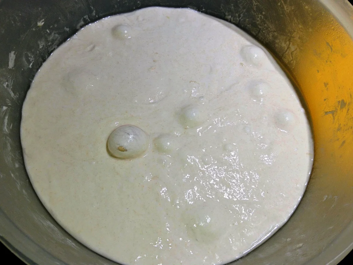 Rezept: Baguette mit wilden Hefen Bild Nr. 6 Baguette mit wilden Hefen - Rezept - Bild Nr. 6