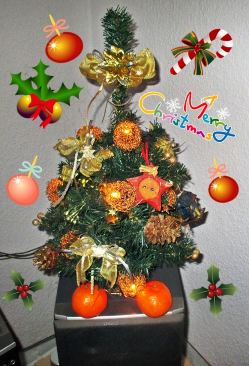 Gänsebraten mit fruchtig-weihnachtlichem Rotkohl-kochbar Challenge 12.0 (Dezember 2020) - Rezept - Bild Nr. 14
