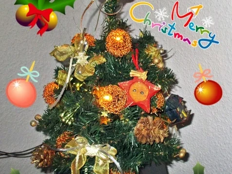 Gänsebraten mit fruchtig-weihnachtlichem Rotkohl-kochbar Challenge 12.0 (Dezember 2020) - Rezept - Bild Nr. 14