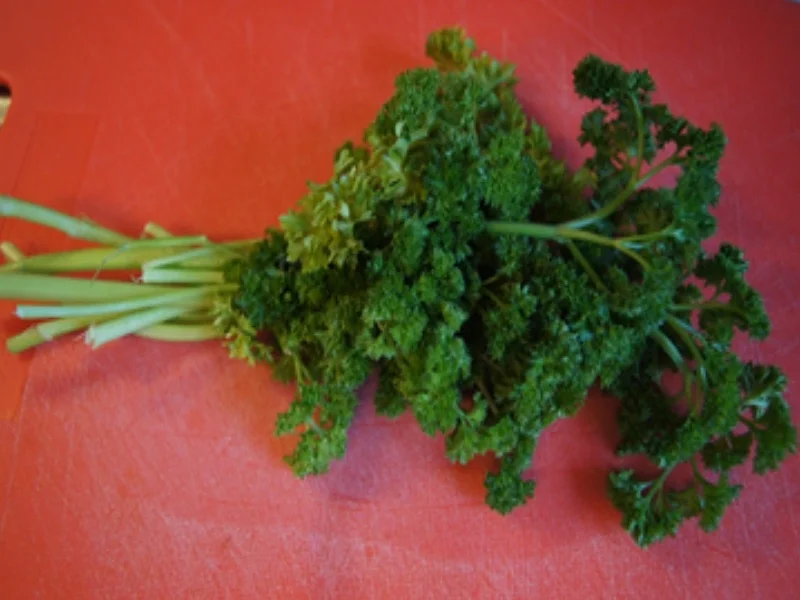 Tafelspitz mit Meerrettichsauce, Blumenkohl und Spätzle - Rezept - Bild Nr. 7