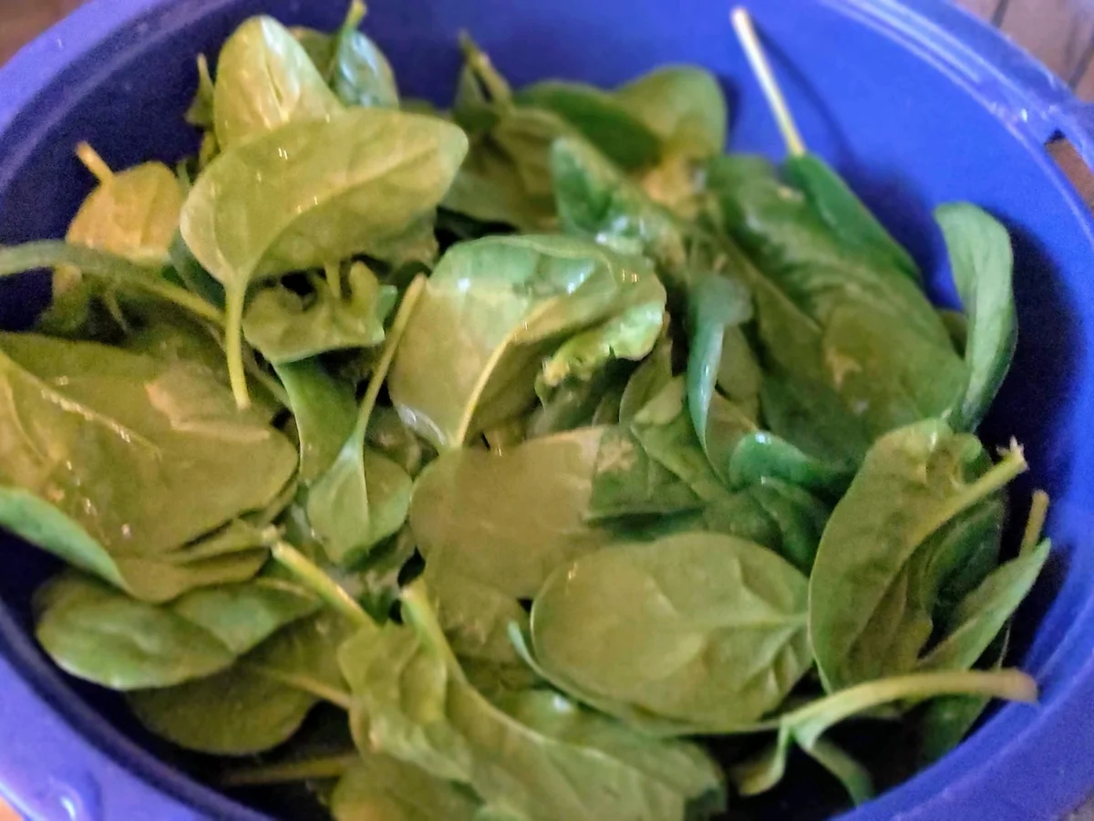 Fischstäbchen - kochbar Challenge 1.0 (Januar 2021) - Rezept - Bild Nr. 13