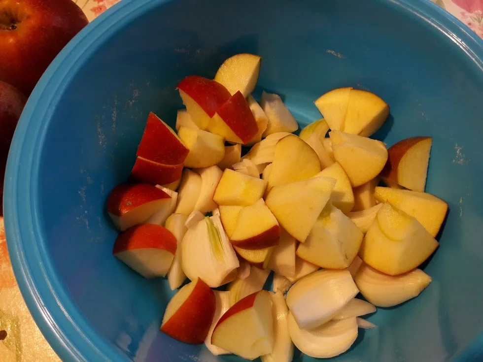 Klassisch - Entenbraten mit Apfelfüllung  zur kochbar Challenge Dezember 2020 - Rezept - Bild Nr. 5