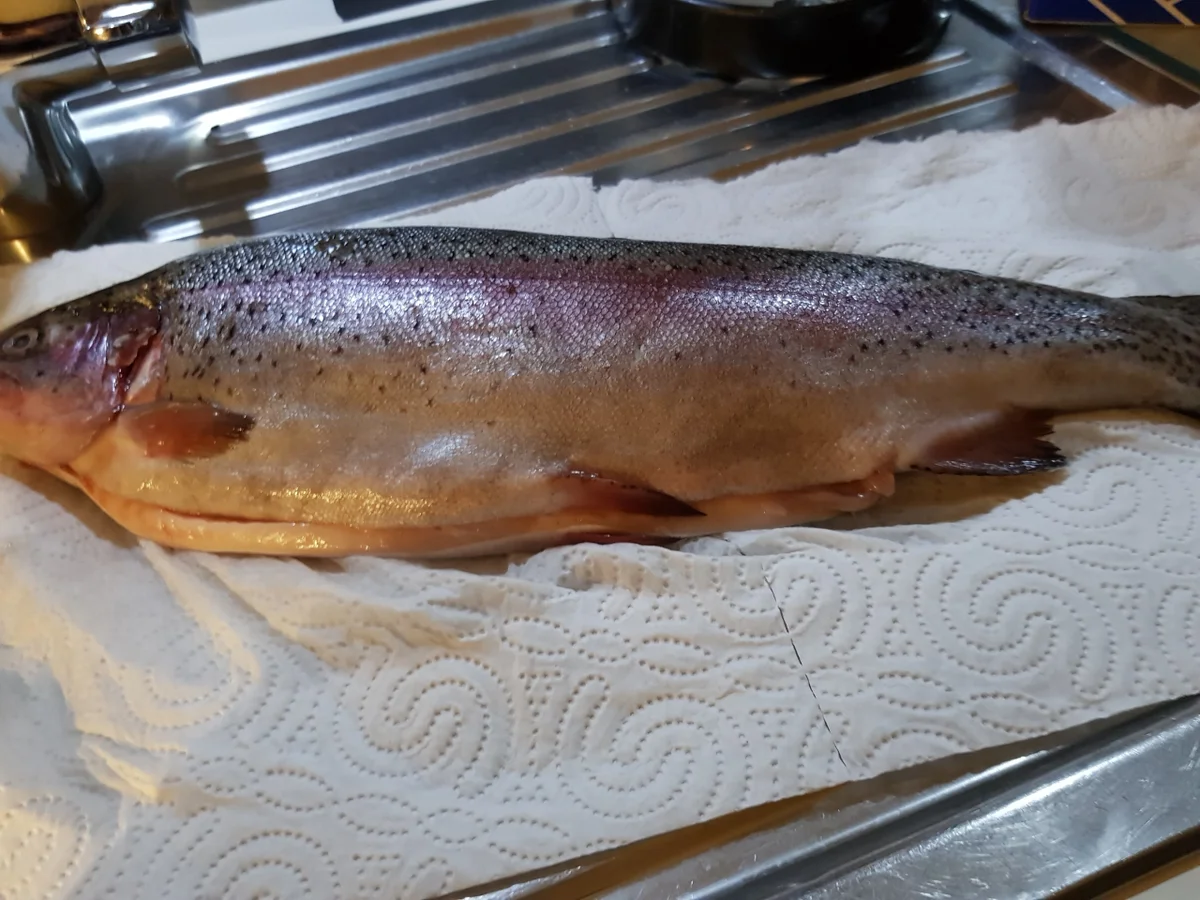 Rezept: Forelle "en papilotte" aus dem Ofen mit Parmesan-Kartoffelstampf Bild Nr. 12170 Forelle "en papilotte" aus dem Ofen mit Parmesan-Kartoffelstampf - Rezept - Bild Nr. 12170