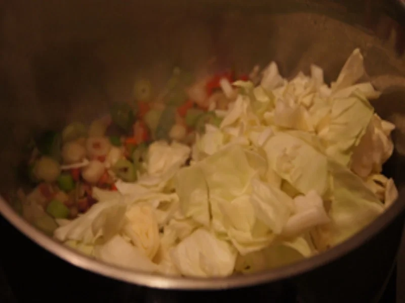 Herzhafter Spitzkohl-Eintopf mit Schinkenkrakauer - Rezept - Bild Nr. 12203