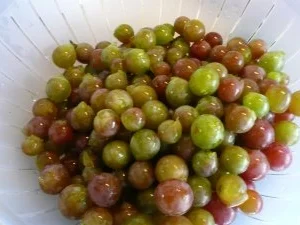 Rezept: Weintraubengelee Bild Nr. 2 Weintraubengelee - Rezept - Bild Nr. 2