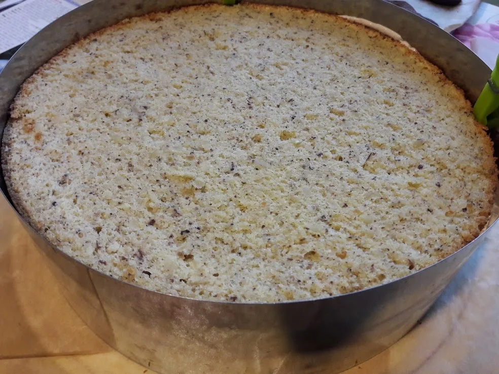 Winterwolke - Rezept - Bild Nr. 17