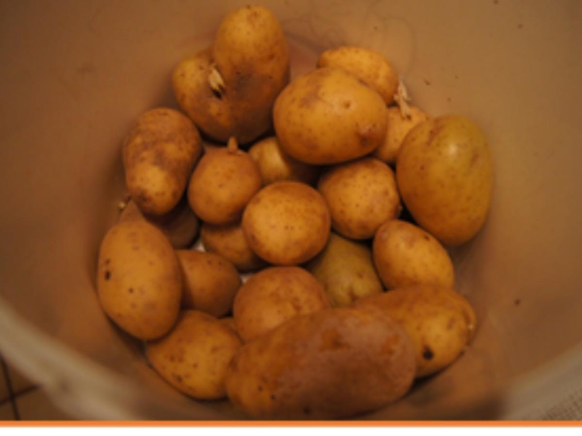 Grünkohl mit Fleisch-Wurst-Mix und Kartoffeln - Rezept - Bild Nr. 15