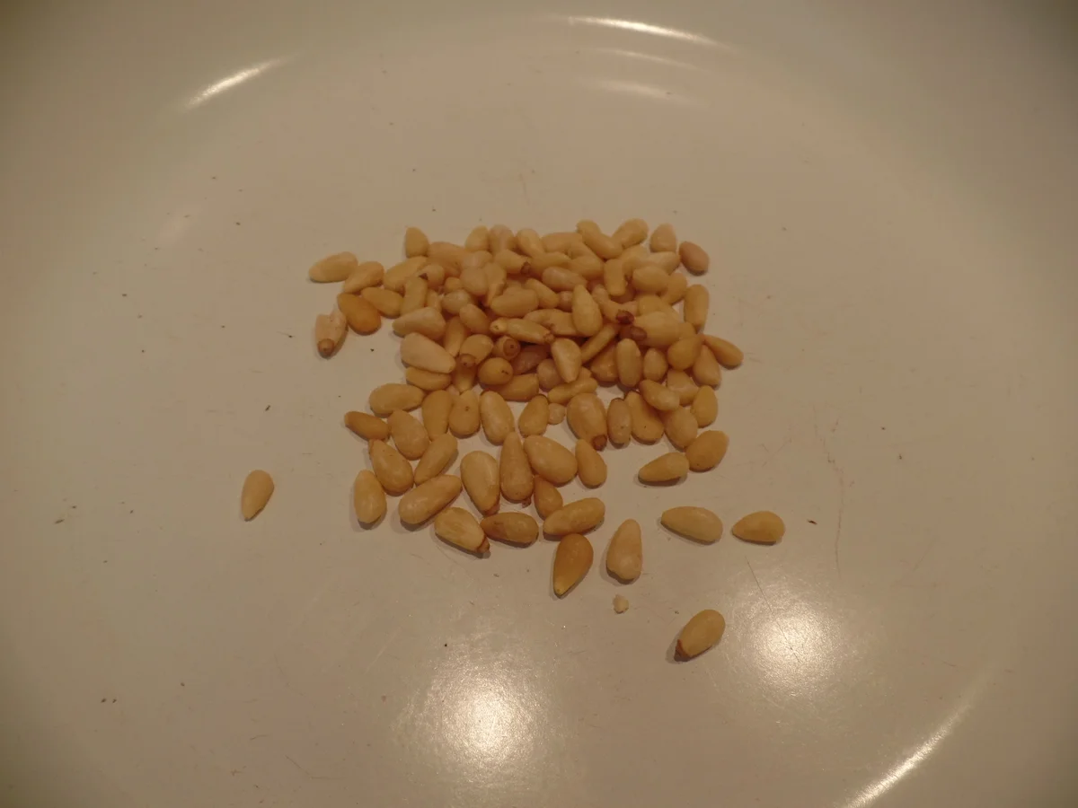 Bunter Salat mit Garnelen - Rezept - Bild Nr. 12323