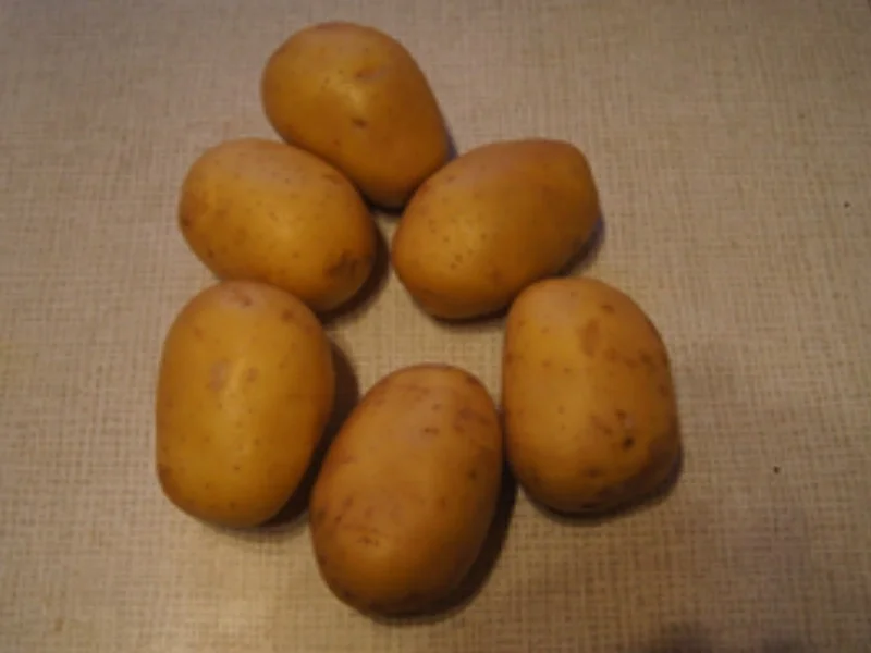 Rezept: Selbstgemachte Pommes frites in der Heißluftfritteuse Bild Nr. 3 Selbstgemachte Pommes frites in der Heißluftfritteuse - Rezept - Bild Nr. 3