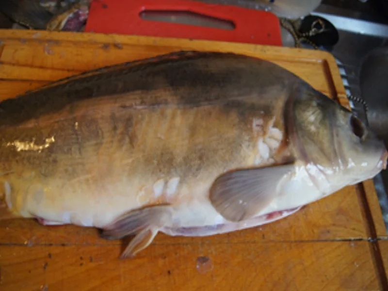 Gebratener Karpfen à la Ivanka - Rezept - Bild Nr. 3