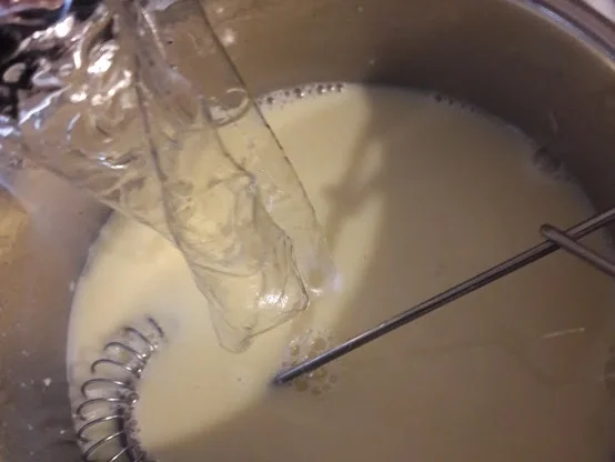 Joghurt-Pannacotta - Rezept - Bild Nr. 10