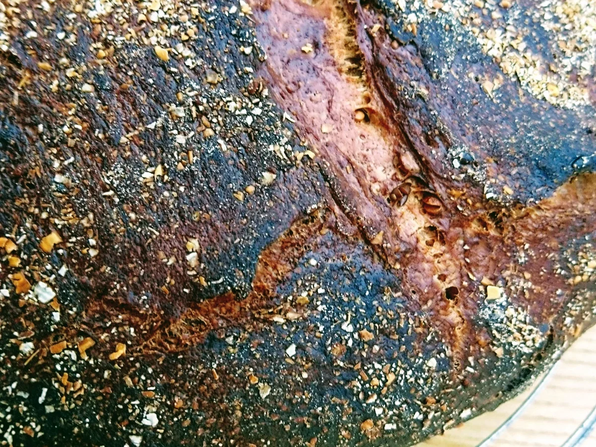 Dreikornbrot mit wilder Hefe - Rezept - Bild Nr. 2