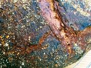 Dreikornbrot mit wilder Hefe - Rezept - Bild Nr. 2
