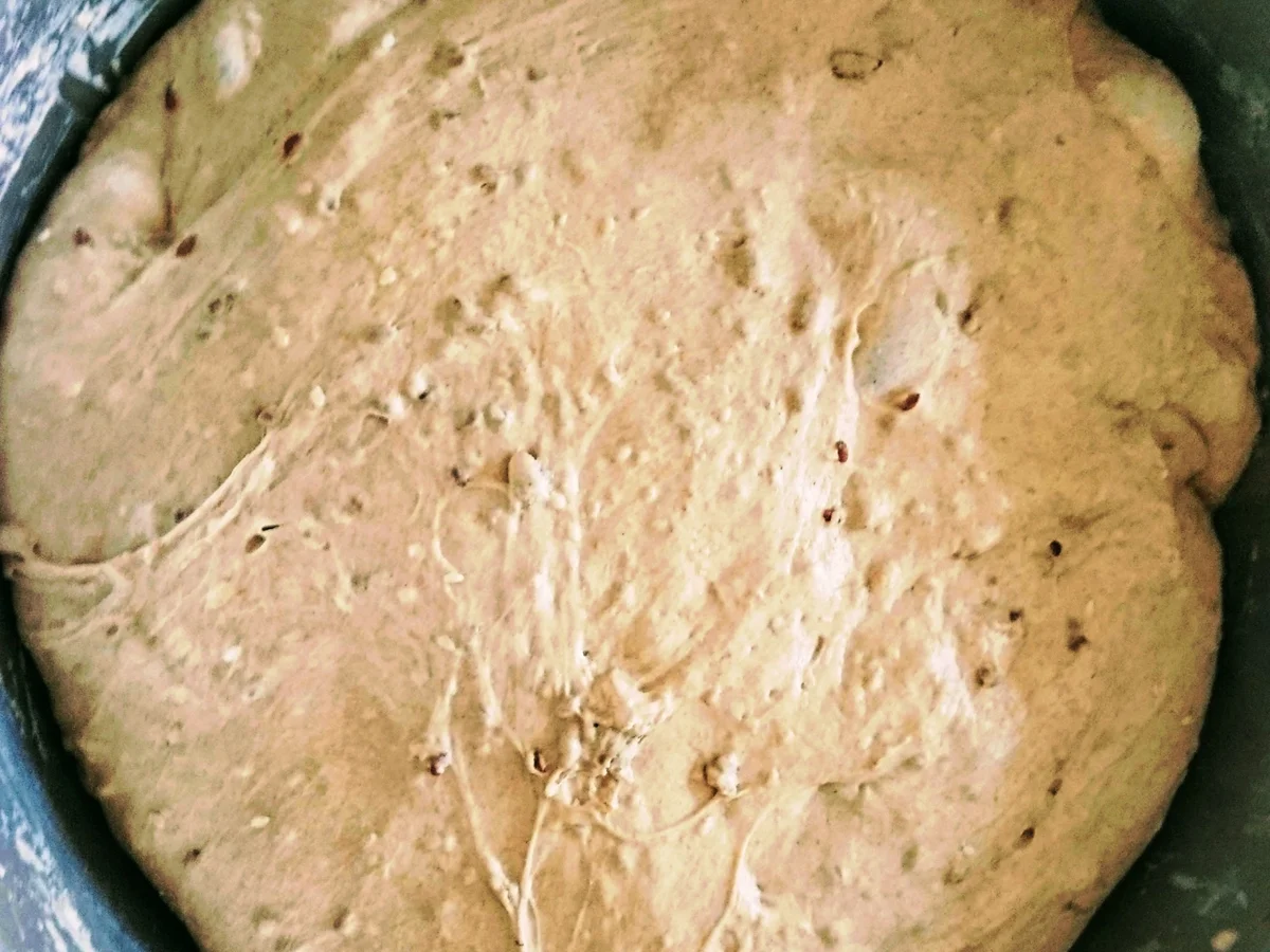 Dreikornbrot mit wilder Hefe - Rezept - Bild Nr. 8