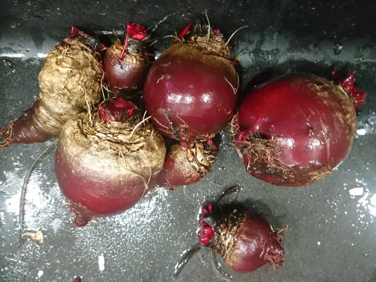 Risotto mit Roten Beten - Rezept - Bild Nr. 5