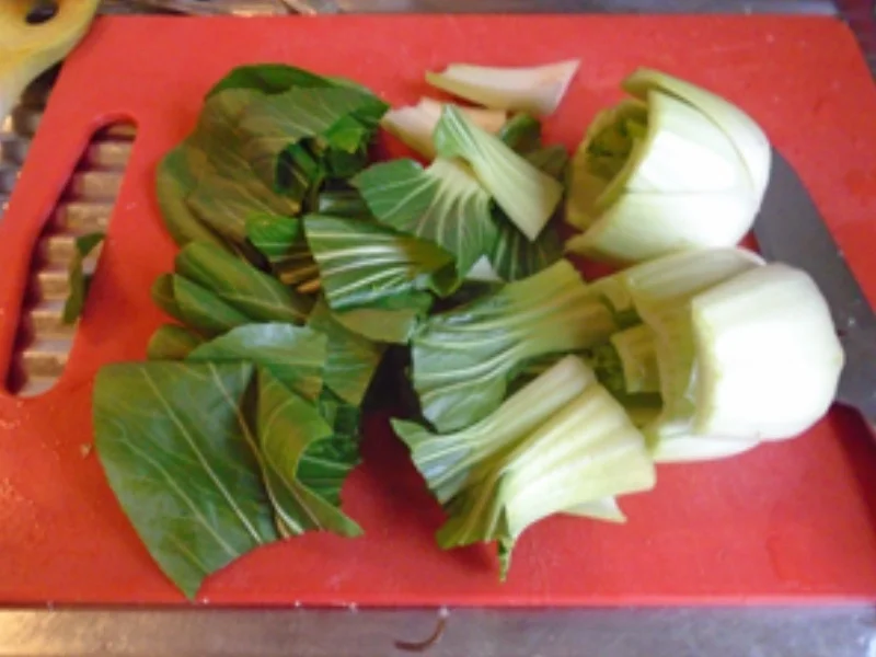 Rezept: Chop-Suey-Nudeln Bild Nr. 14 Chop-Suey-Nudeln - Rezept - Bild Nr. 14