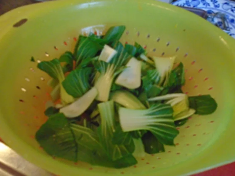 Rezept: Chop-Suey-Nudeln Bild Nr. 15 Chop-Suey-Nudeln - Rezept - Bild Nr. 15