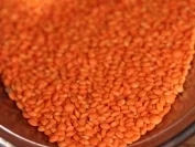 Dal von roten Linsen - Rezept