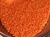 Dal von roten Linsen - Rezept