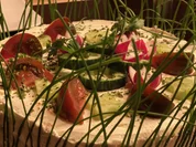 Vespertorte - Rezept - Bild Nr. 2