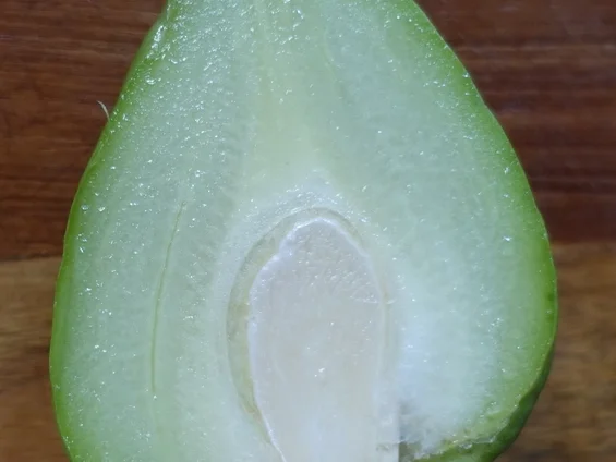 Chayotestücke mit Mango in süß-saurer Sauce - Rezept - Bild Nr. 4