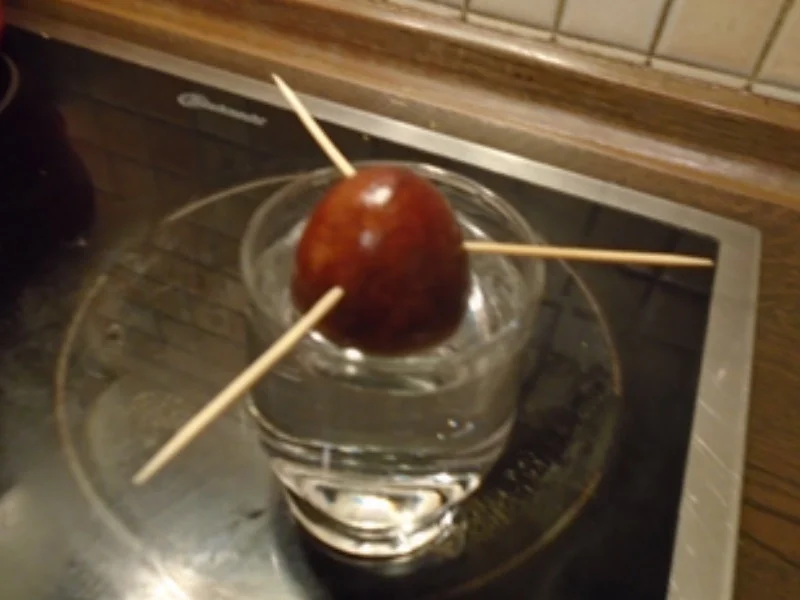 Kurkuma-Hähnchen-Drumsticks mit Avocado-Salsa und herzhaften Kartoffelstampf - Rezept - Bild Nr. 18