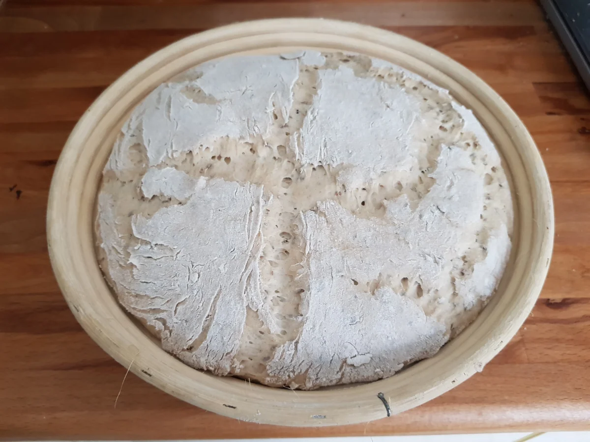 Ralf ´s Sauerteig - Kümmel - Mischbrot - Rezept - Bild Nr. 5