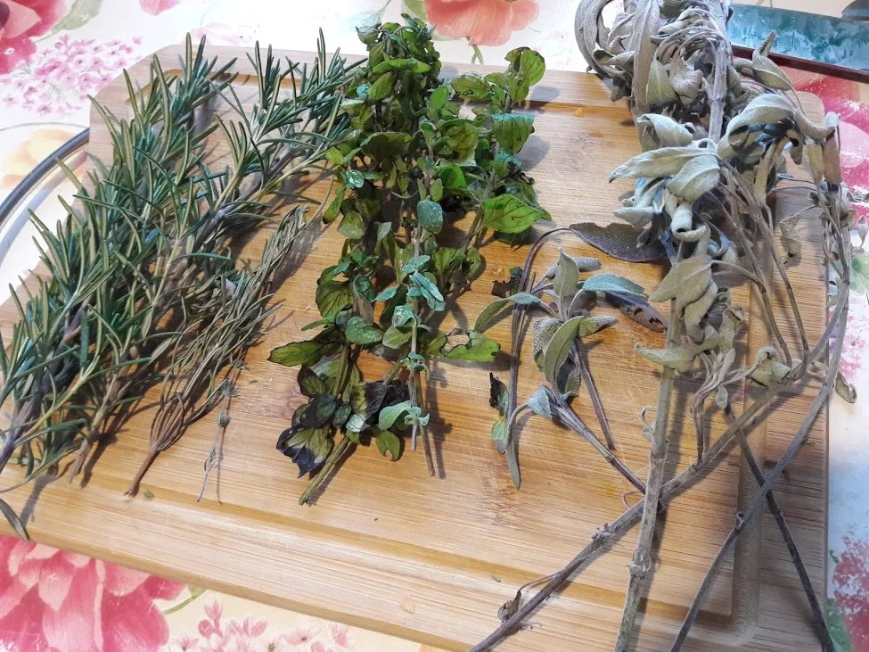 Gnocchi aus der Süßkartoffel - Rezept - Bild Nr. 5